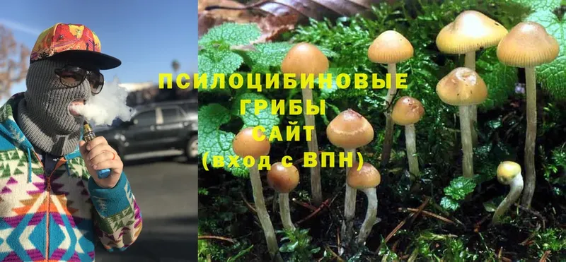 Псилоцибиновые грибы Magic Shrooms  Биробиджан 